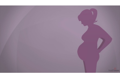 Embarazo: Las primeras semanas