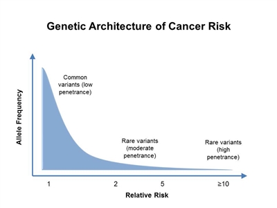 Graph shows relative risk on the x-axis and allele frequency on the y-axis. A line depicts the general finding of a low relative risk associated with common, low-penetrance genetic variants and a higher relative risk associated with rare, high-penetrance genetic variants.