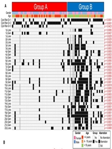 Chart showing the identification of subgroup-specific copy number alterations in the posterior fossa ependymoma genome.