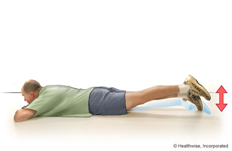 Straight-leg raises to the back (lying on the belly)