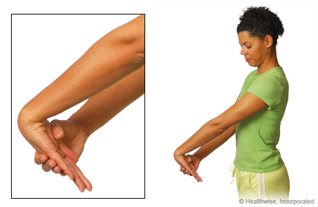 The wrist extensor stretch