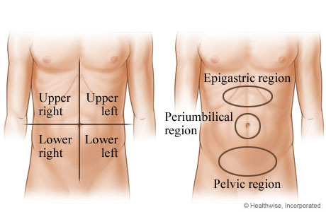 Abdominal areas where pain may occur
